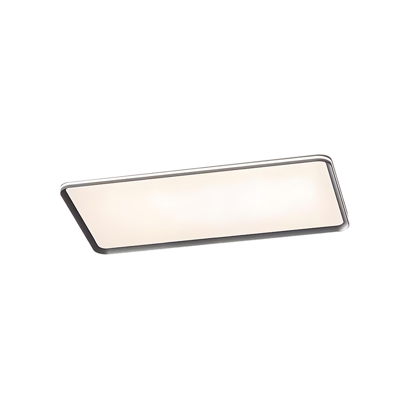 电镀拉丝客厅吸顶灯